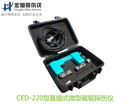 CED220型直插式微型磁軛蜜桃APP在线观看